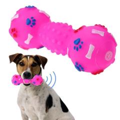 Buy Pets Empire Dog Toys Simulation Chicken Tooth Resistant Teeth Pet  Training Interactive Sounding Online at Best Prices in India - JioMart.