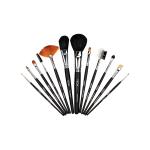 Vega Brushes Set (Lk - 12) 12's