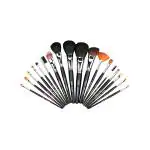 Vega Set Of 20 Brushes (LK - 20) 740.4 gm