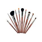 Vega Set Of 10 Brushes (LK - 10) 316.5 gm