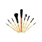 Vega Set Of 9 Brushes (EVS - 09) 176 gm