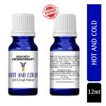 Keya Seth Aromatherapy Hot and Cold-Congestion Reliever 10 ml