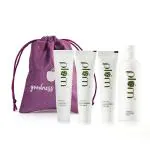 Plum Green Tea CTM Essential Kit - Mini Combo 100 ml