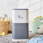 R for Rabbit Hygo Bin