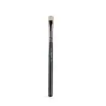 Colorbar Pro Makeup Brushes-Pro Eyeshadow(S) Brush. 1's