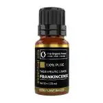 Organic Forest 100% VEGAN Frankincense Essential Oil 10 ml