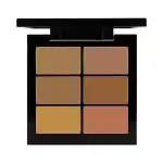 PAC Go Concealer X6 Medium 1.5 gm