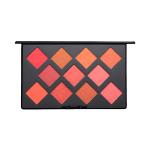 PAC Take Cover Blusher X11 3.2 gm