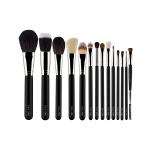 PAC Absolute Basics 21 Brushes 21's