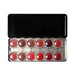 PAC Pro Lipstick Palette X12 2.8 gm