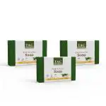 TAC The Ayurveda Co. Bathing Soap - Eladi & Neem (Pack of 3 x 100 gm) 1's