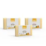 TAC The Ayurveda Co. Bathing Soap - Ubtan (Pack of 3 x 100 gm) 1's