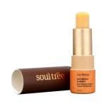 SoulTree Calendula & Honey with Organic Ghee & Cold Pressed Oils Lip Balm 3.5 gm