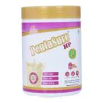 Penta Sure Hp 100% Whey Protein Banana & Vanilla Flavour 400 gm