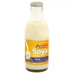 Chetran's Mango Flavoured Soy Milk 200 ml
