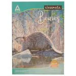 Classmate Single Line Soft Long Notebook 1 pc (120 pgs) - Design/colour may vary