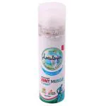 Amrutanjan Joint Muscle Spray 30 g