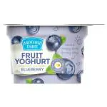 Mother Dairy Blueberry Yogurt 100 g (Cup)