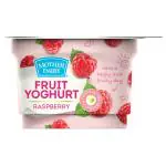 Mother Dairy Raspberry Yogurt 100 g (Cup)