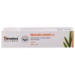 Himalaya Wellness Muscle & Joint Rub 20 g