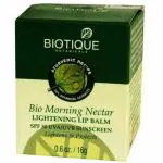 Biotique Morning Nectar SPF 30 Lightening Lip Balm 16 g