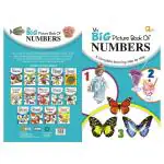 Quixot Number Picture Book (3 + yrs)