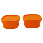 Princeware Store Fresh Assorted Square Plastic Container 1.12 L (Set of 2)