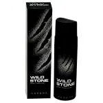 Wild Stone Chrome Perfume Body Perfume for Men 120 ml