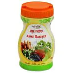 Patanjali Amrit Rasayan 1 kg