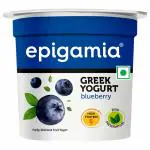 Epigamia Blueberry Greek Yogurt 85 g (Cup)