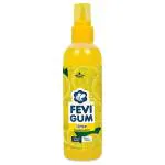 Pidilite Lime Fragrance Fevi Gum 200 ml