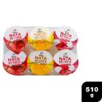 Dolphin Nata De Coco Assorted Pudding 510 g (Pack of 6)