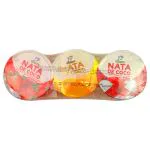 Dolphin Nata De Coco Assorted Pudding 255 g (Pack of 3)