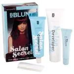 BBlunt Salon Secret High Shine Creme Hair Colour, Wine Deep Burgundy (4.20) (100 g+ 8 ml)