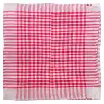 Home One Assorted Cotton Kitchen Napkin 43 x 43 cm (Pack of 2)