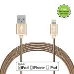 itek CBL011-CH 1.2 m Fast Charging USB to 8 Pin Lightning Braided Cable, Gold