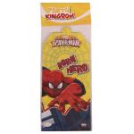 Party Kingdom Spiderman Party Invitation Card (Pack of 10)