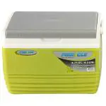 Pinnacle Eskimo Green Insulated Plastic Cooler Box 4.5 L