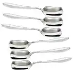 Flexi Kitchen Stainless Steel Ice Cream Spoon (Set of 6)