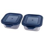 Roxx Transparent Square Glass Wonder Box with Plastic Lid 300 ml (Set of 2)
