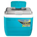 Pinnacle Primero Blue Insulated Plastic Cooler Box 30 L