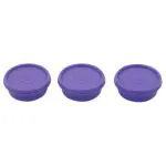 Signoraware Mini Mate Violet Plastic Container 70 ml (Set of 3)