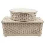 Jaypee Plus Beige Plastic All Stock Box Basket (Set of 2)