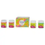 Fevicryl Neon Colours 60 ml By Pidilite (4 Shades)