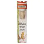 Bambooz Twister Potato Barbecue Skewer Sticks 12 inch (No.25)