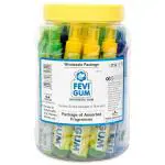 Pidilite Fevi Gum 18 ml (Pack of 25)