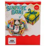 Pidilite Fevicreate Surprise Box DIY Craft Kit