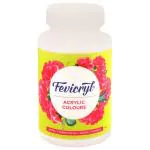 Pidilite Fevicryl White Acrylic Colour 500 ml