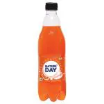 Nature Day Orange Sparkling Fruit Drink 600 ml