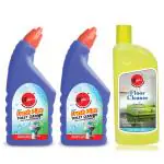 Bdel Fresh Pine Toilet & Floor Cleaner Combo Pack (500 ml x 2 + 500 ml)